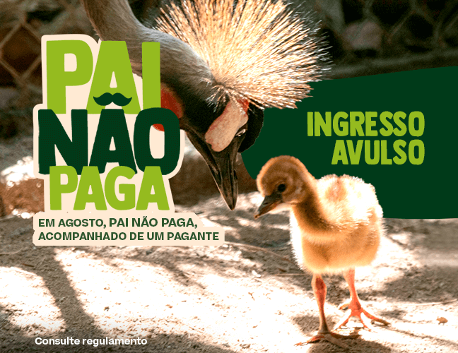 COMPRAR INGRESSO