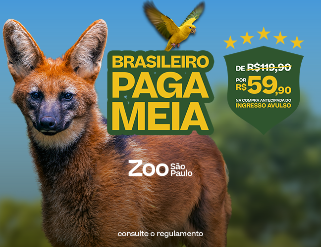 COMPRAR INGRESSO