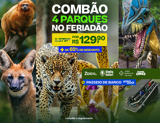 COMPRAR INGRESSO
