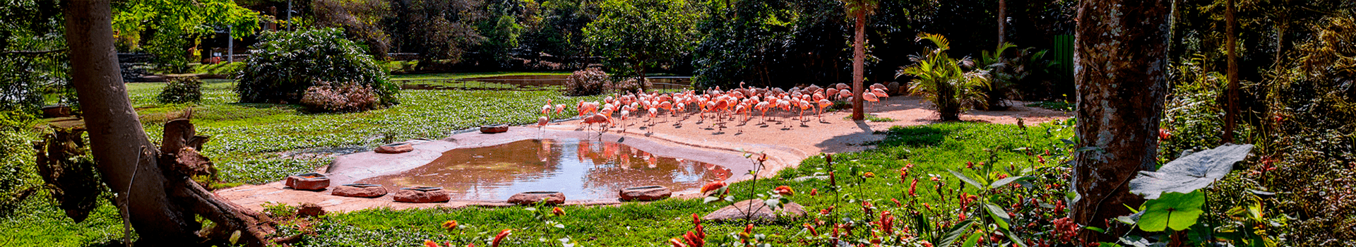 tickets.groups.section1.banner.link.desktop