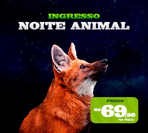 NOITE ANIMAL