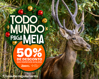 SINGLE ENTRANCE TICKET