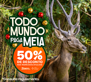 SINGLE ENTRANCE TICKET